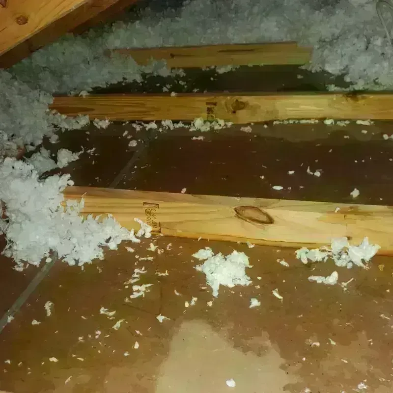 Attic Water Damage in Palm Valley, FL