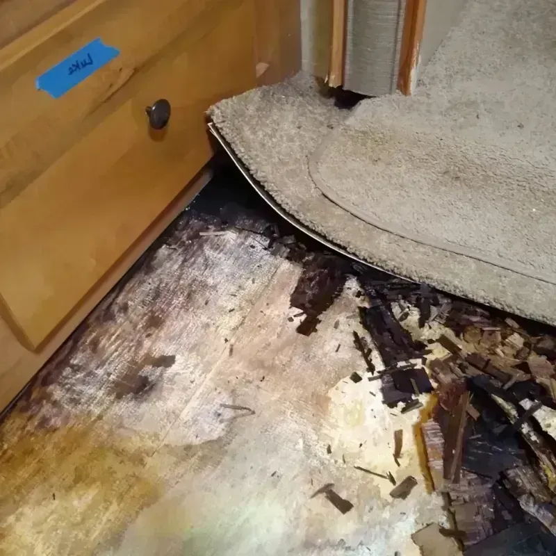 Wood Floor Water Damage in Palm Valley, FL